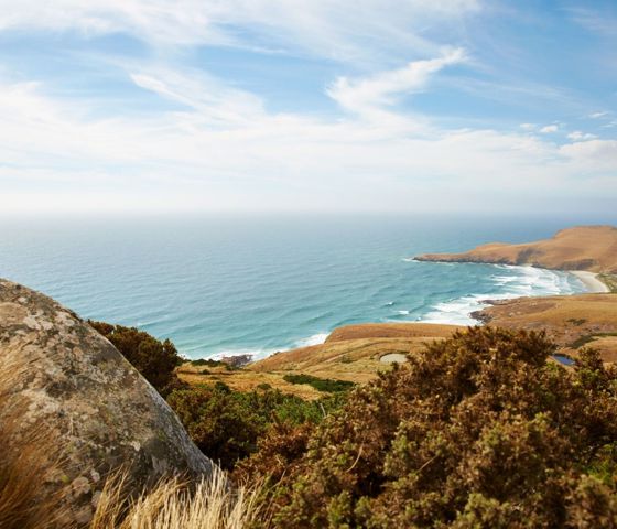 Dunedin Coast - New Zealand