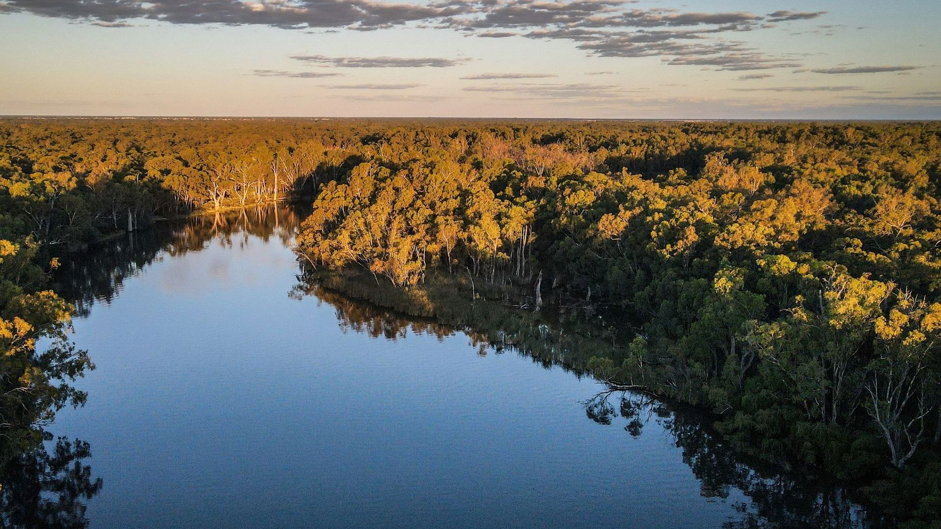 PS Australian Star 3492