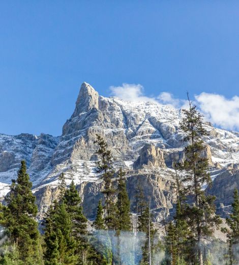 National Park Landscape