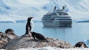  Cuverville Antarctique - Ponant Cruises © Studioponant Olivier Blaud