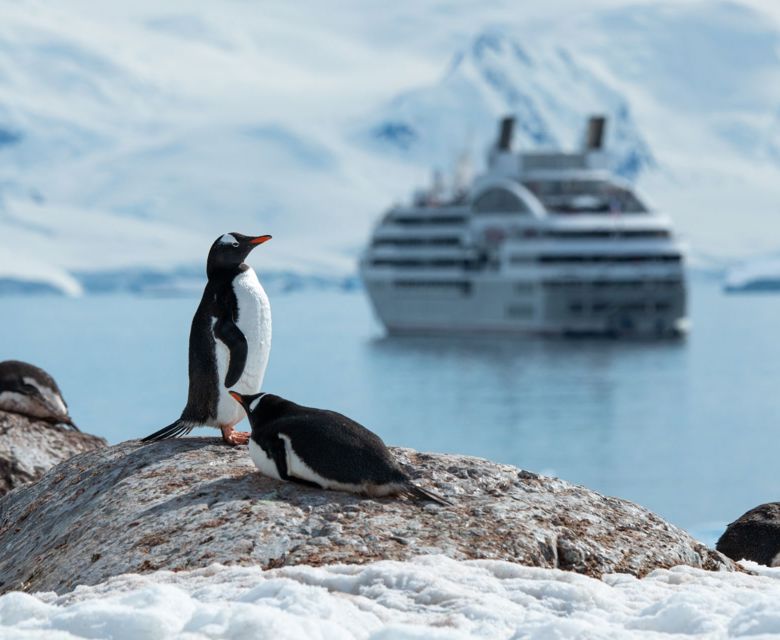 Discovering Antarctica in purpose-built Ponant ship led by an expert naturalists and guides