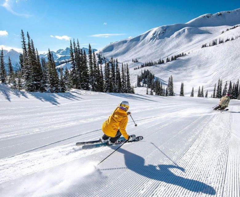 Whistler Skier