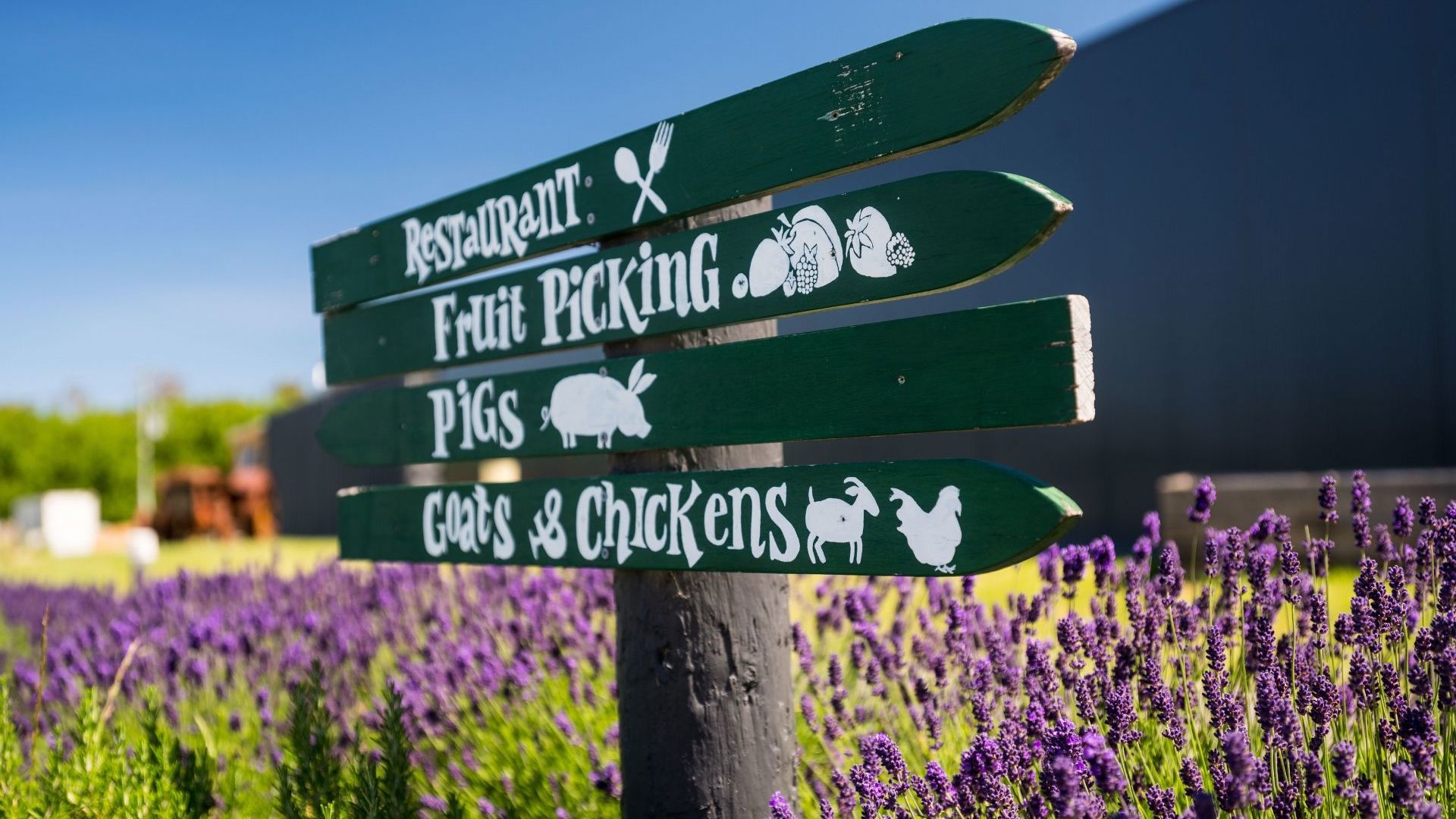 Coal River Farm 133310 2 CR Alastair Bett