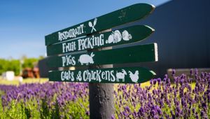 Coal River Farm 133310 2 CR Alastair Bett