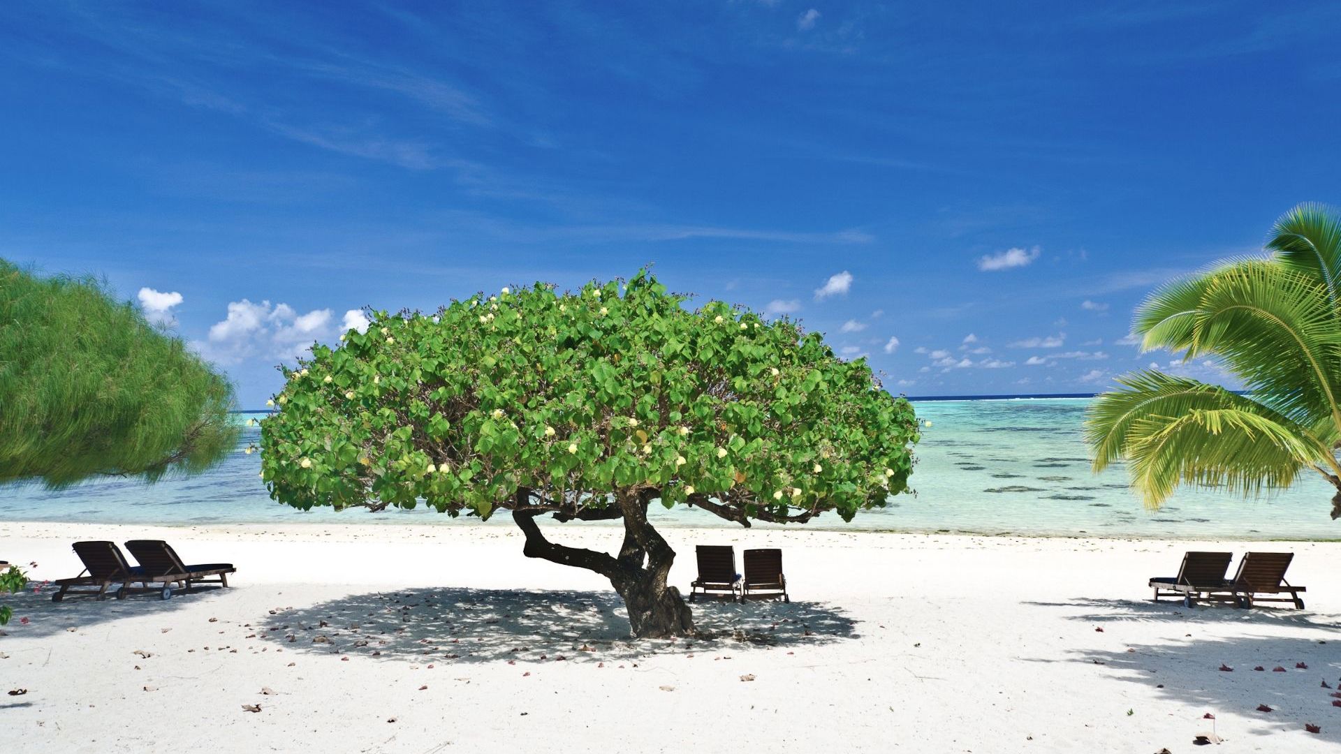 Etu Moana Boutique Beach Villas - Beach