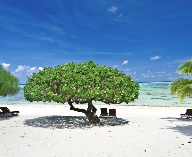 Etu Moana Boutique Beach Villas - Beach