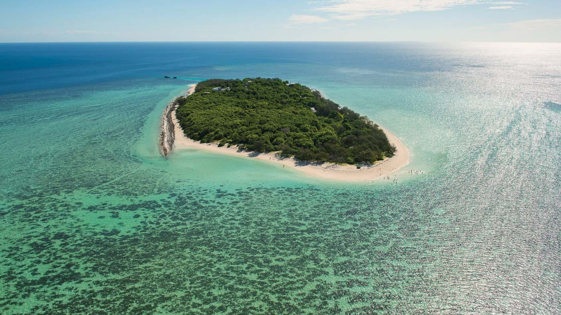13 Day East Coast Island Escape - Heron Island 