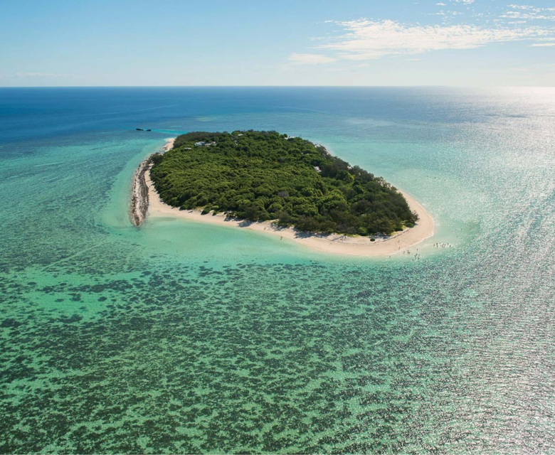 13 Day East Coast Island Escape - Heron Island 