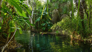 15 Day Leichhardt’s Savannah Expedition - Lorella Springs