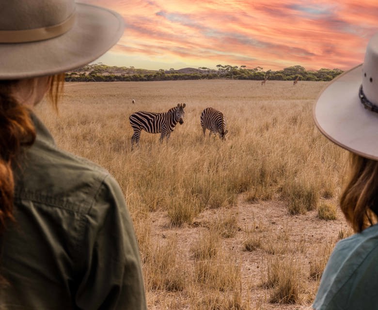 Australia's Rail & Safari Escapes