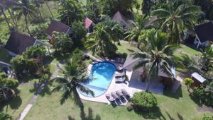 Palm Grove Pool Aerial View