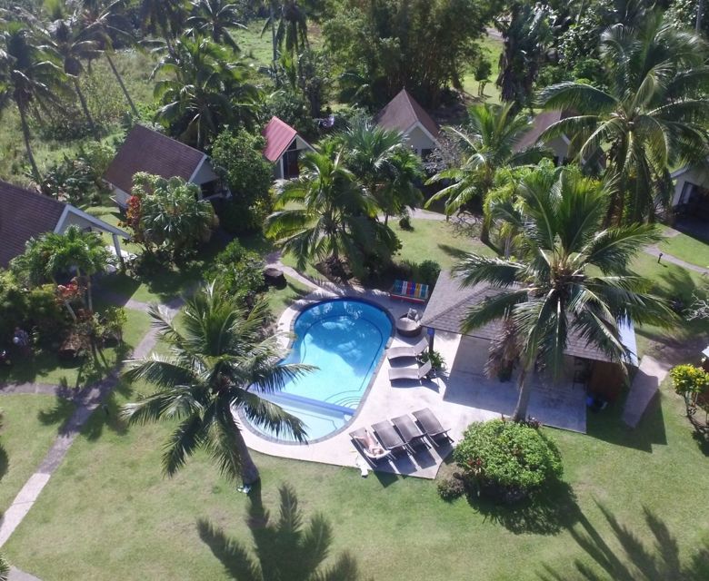 Palm Grove Pool Aerial View