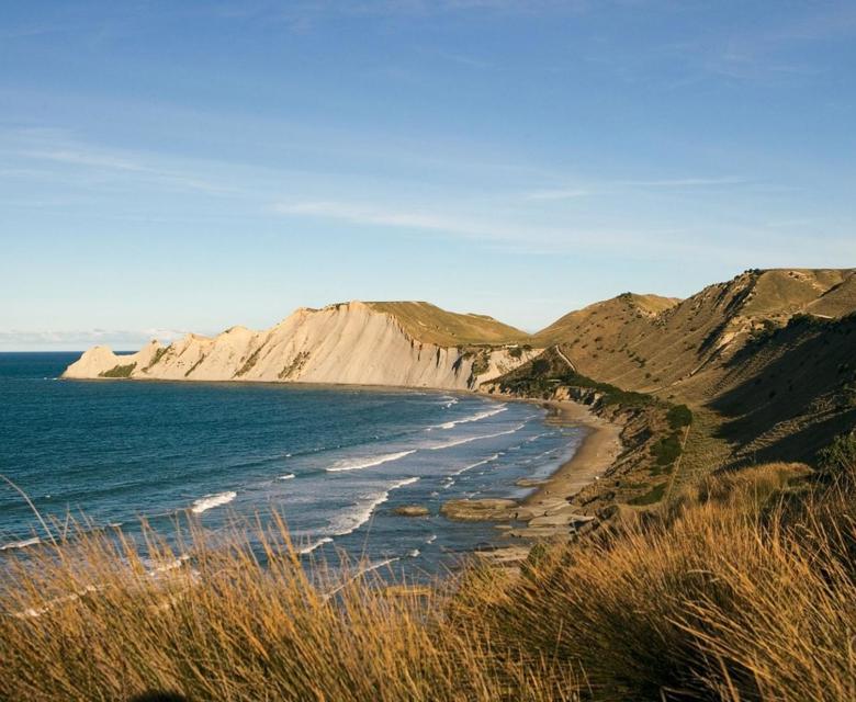 Napier Coastline 