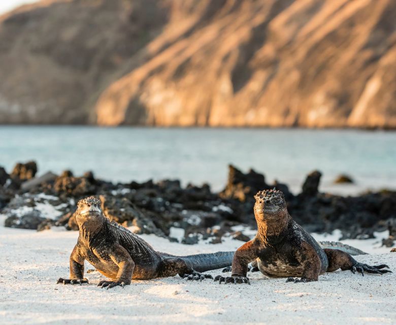 Galapagos - San Cristobal Island - Insider Galapagos