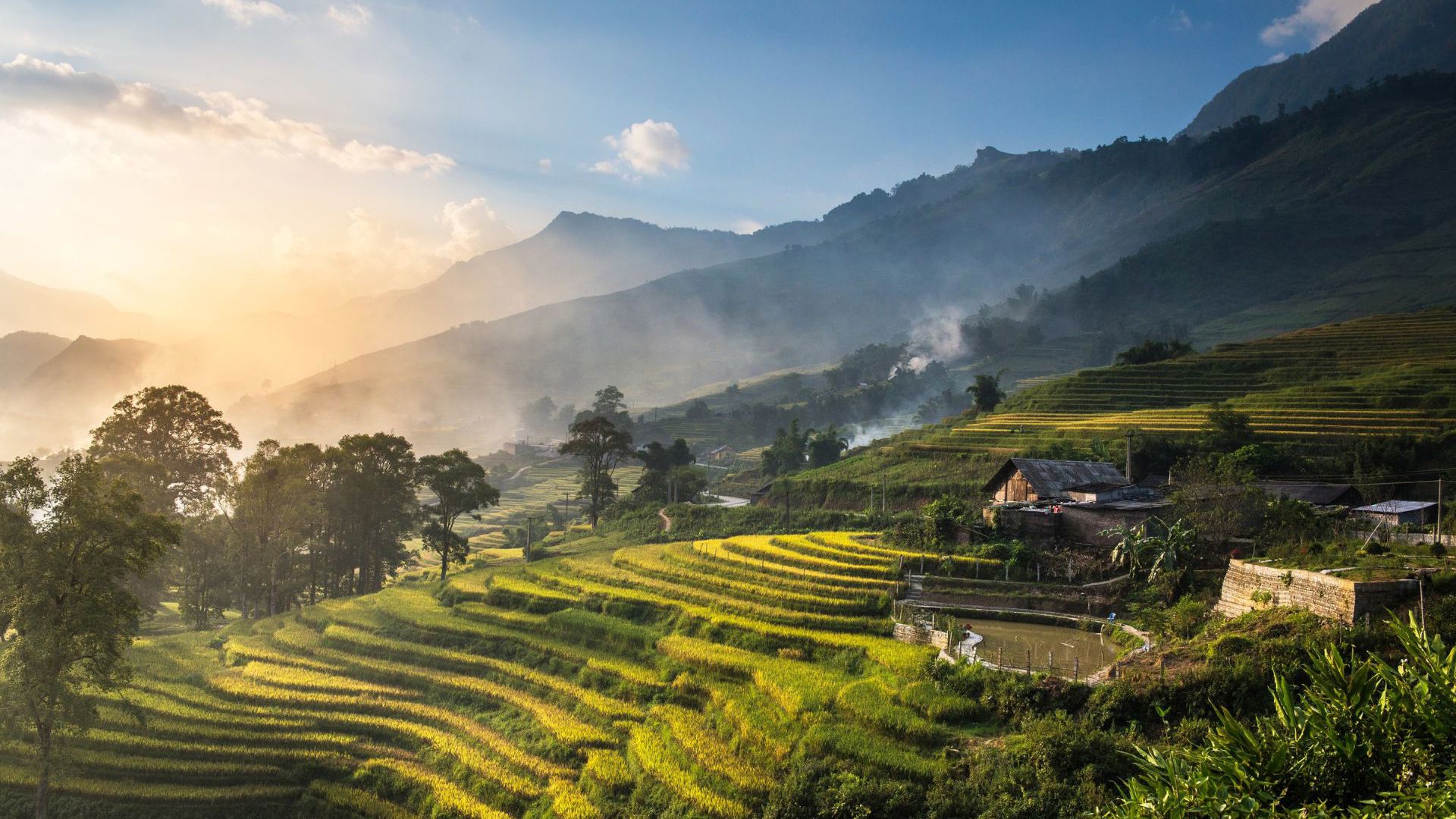 Sunsetting over Vietnam rice fields - Image credit: Getty Images