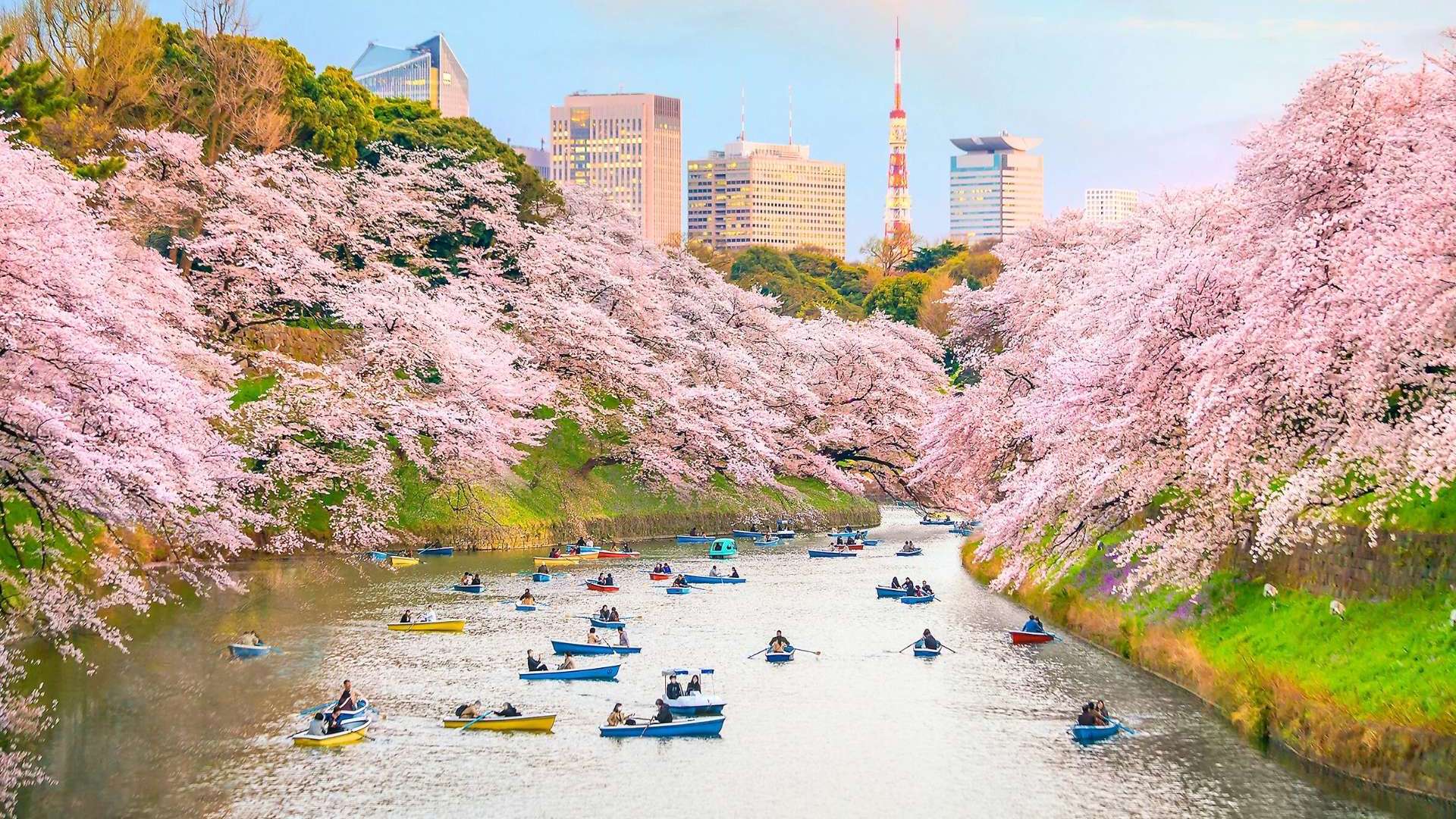 Tokyo Japan
