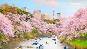 Tokyo Japan