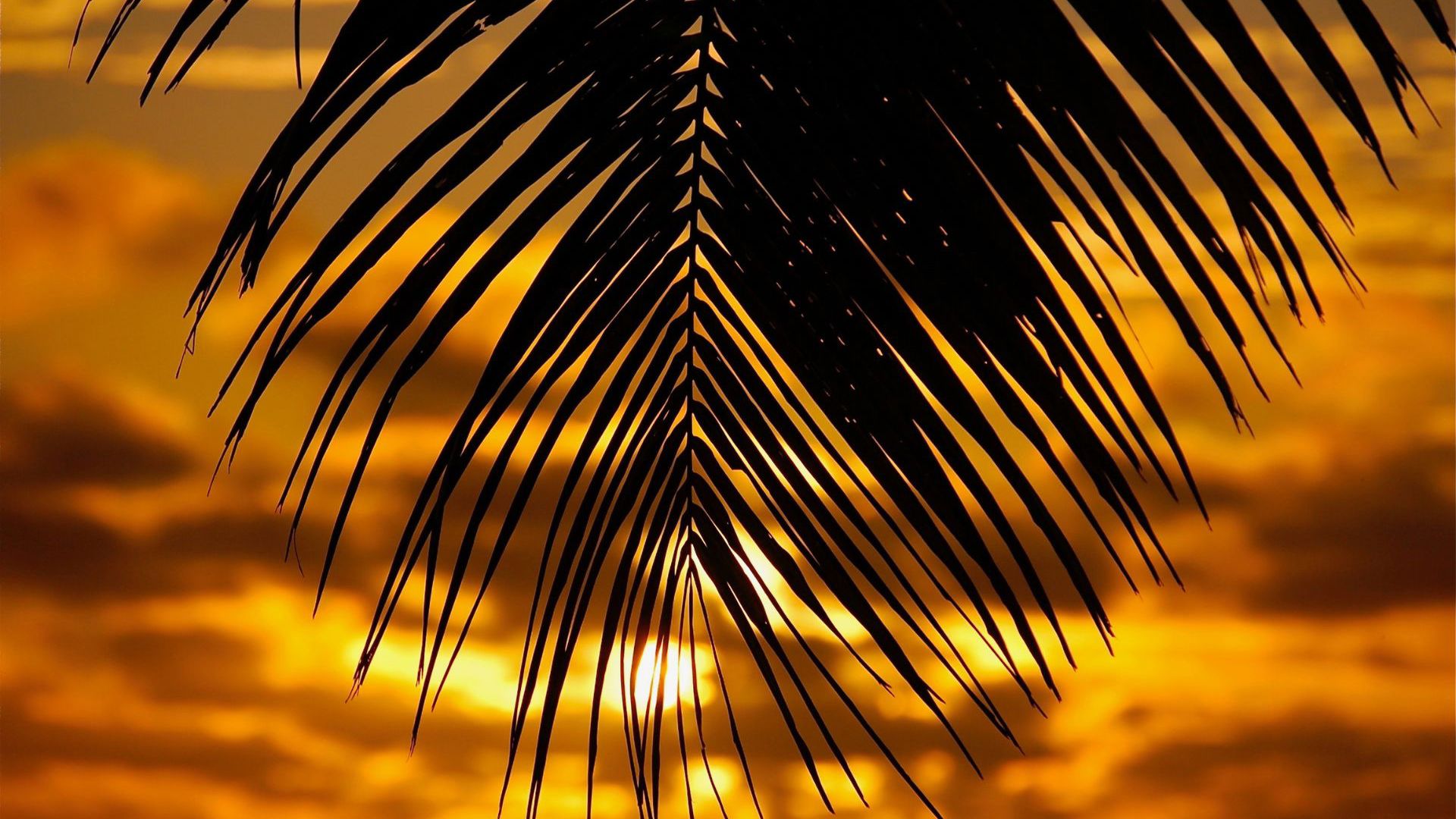 Tamanu Beach - Sunset