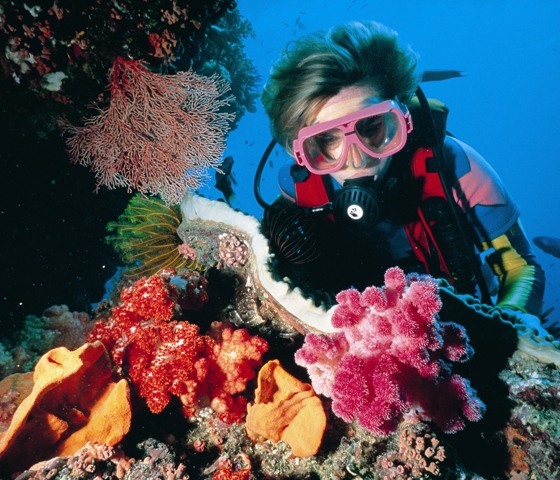 Scuba Diver