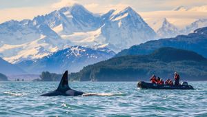Rockies Rail & Coastal Alaska Expedition with Adventure World