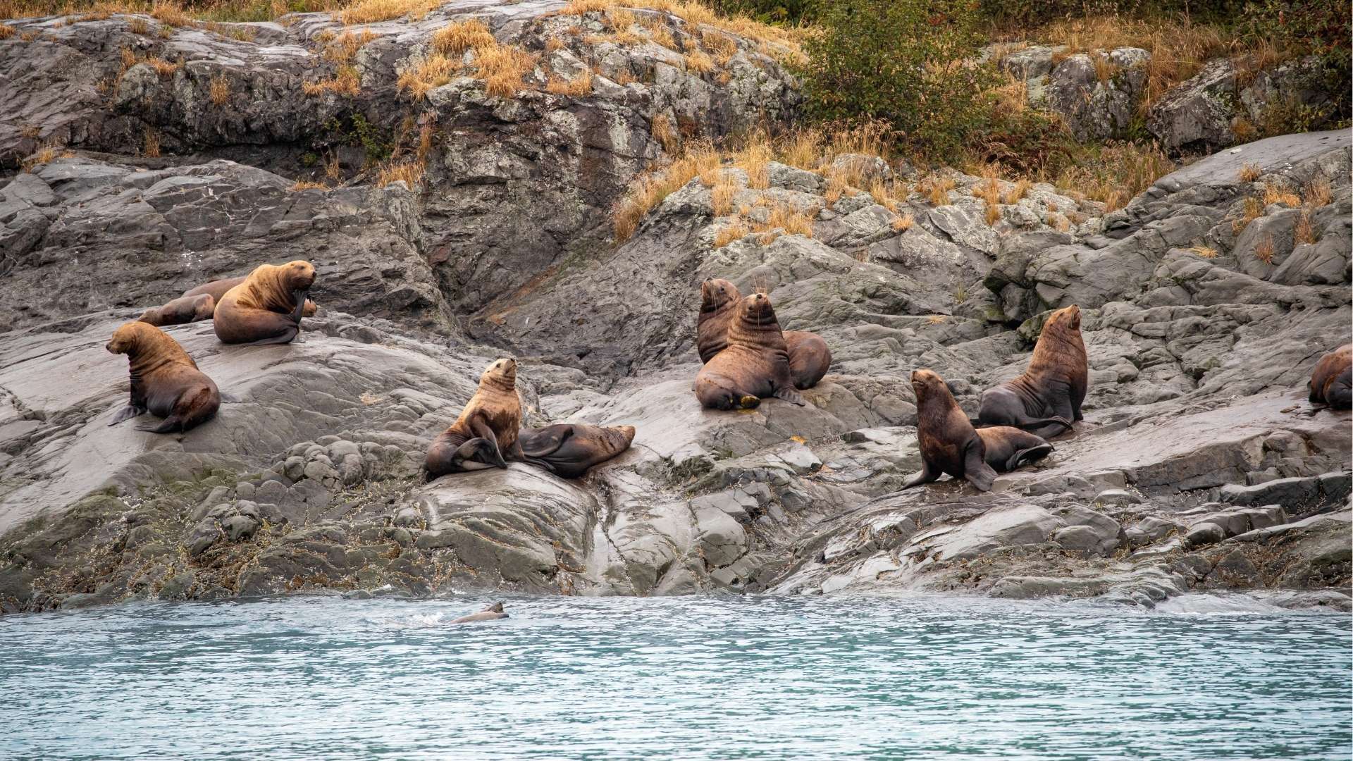 Hubbard Glacier 22