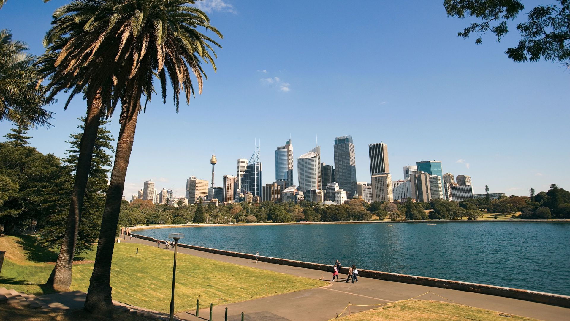 Sydney Cityscape Celebrity