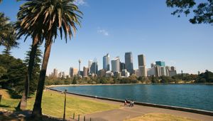 Sydney Cityscape Celebrity