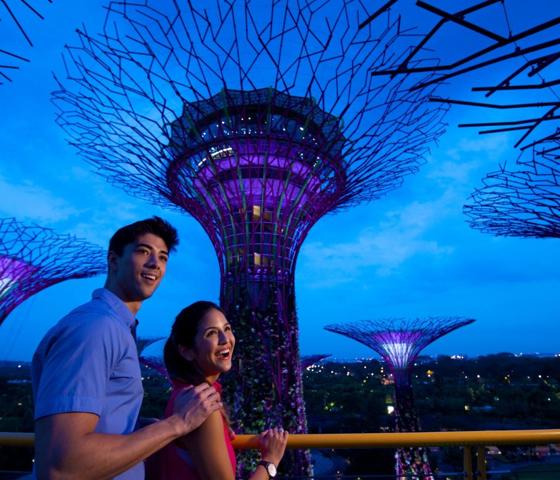 Singapore couple Solar Super trees