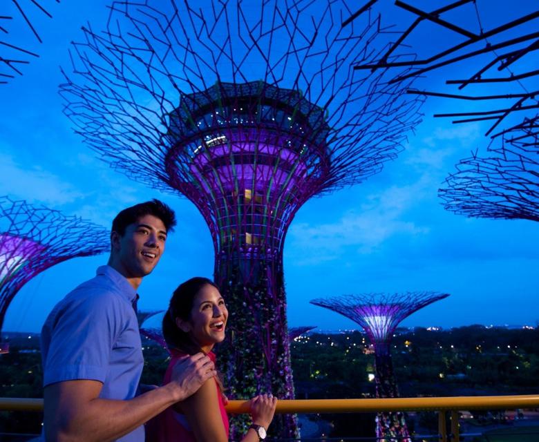 Singapore couple Solar Super trees