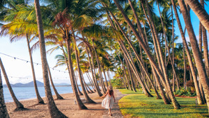 Palm Cove - TTNQ image
