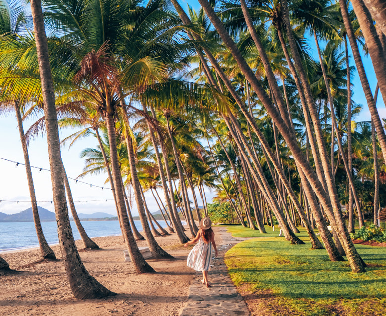 Palm Cove - TTNQ image