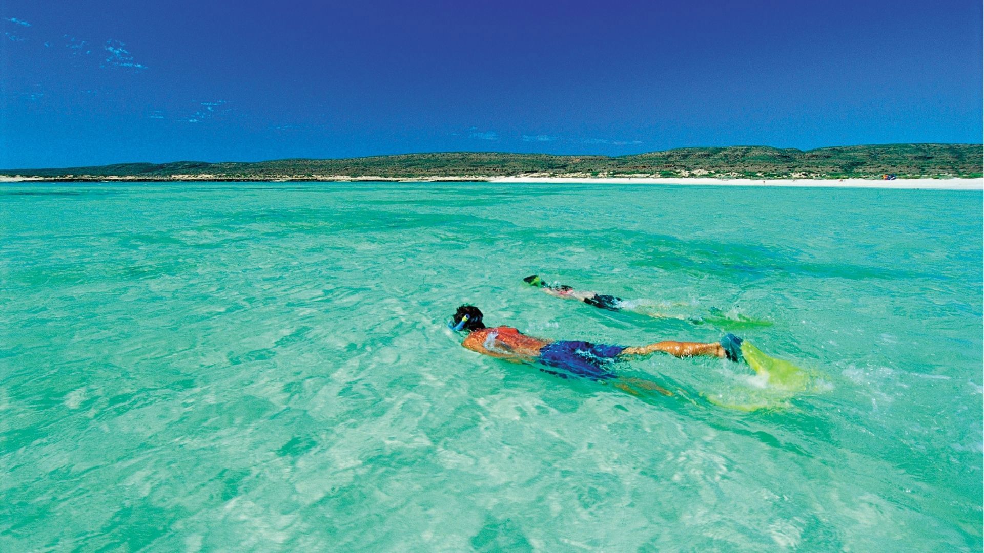 Australia Ocean - Snorkelling