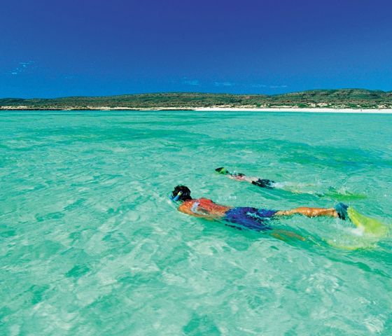 Australia Ocean - Snorkelling