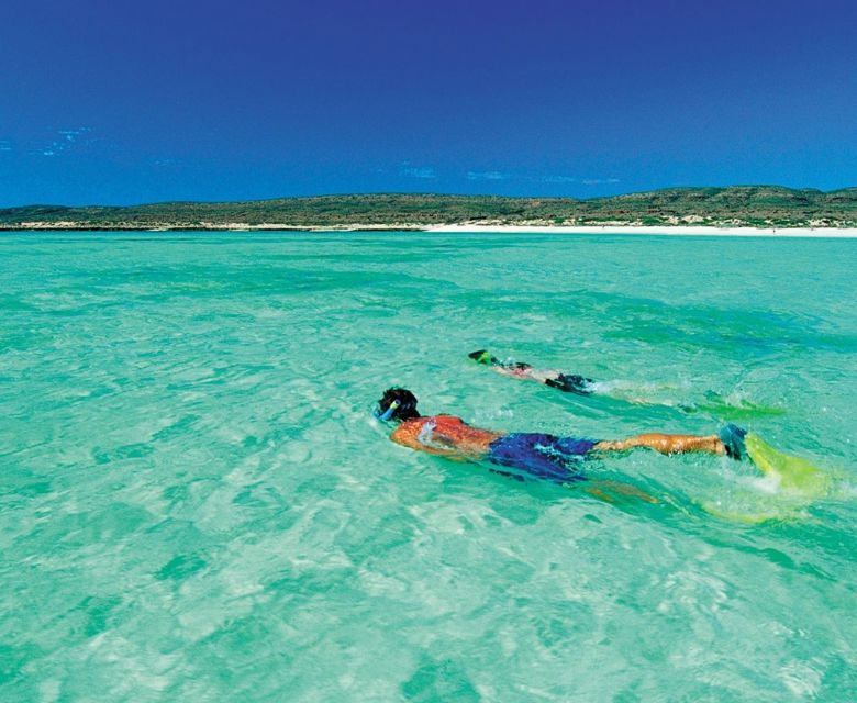 Australia Ocean - Snorkelling