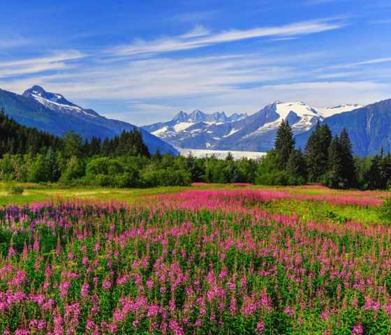 Juneau, Alaska