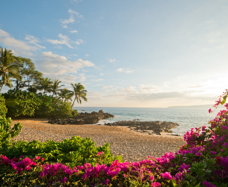 Epic Escape Flight Sale