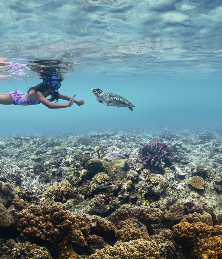 Snorkelling - Credit Tourism Fiji