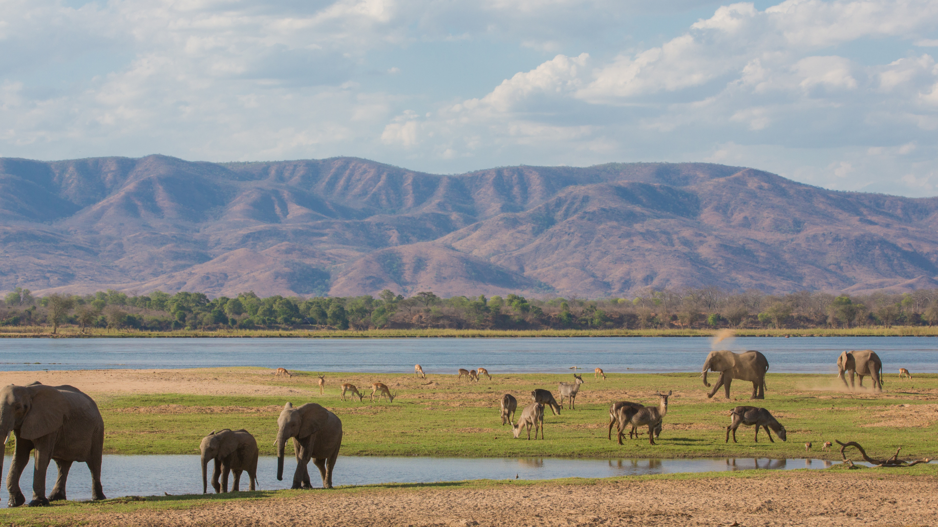 Malawi Grand Tour Wildlife On The Zambezi River