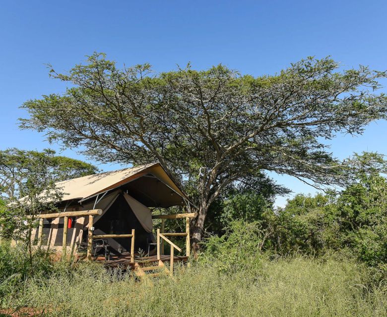 Zululand Lodge South Africa Hluhluwe Bruce Taylor