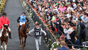  CUP2026 HORSES (003)