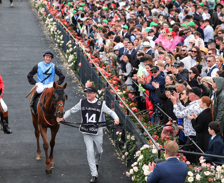  CUP2026 HORSES (003)