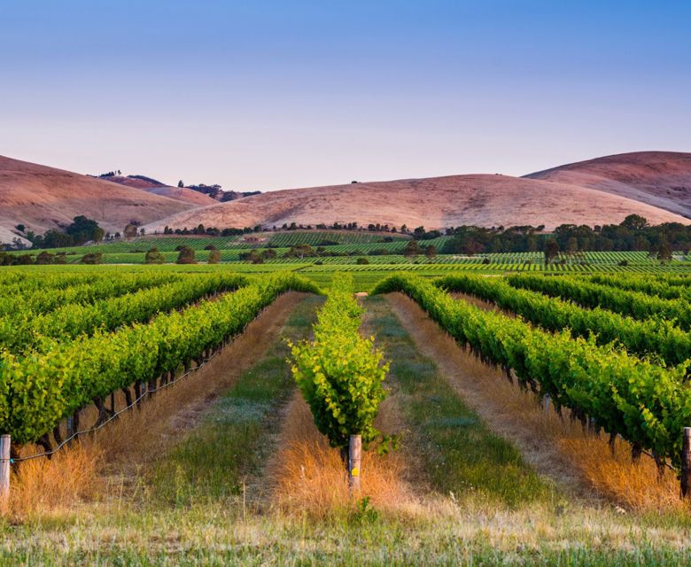 Our Latest South Australia Deals