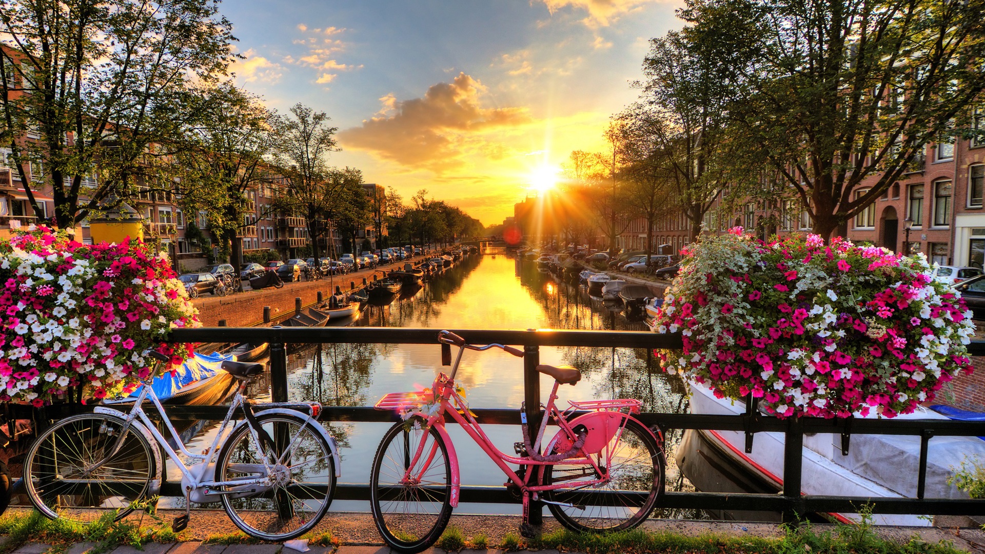 Cycling is a wonderful way to explore Amsterdam.