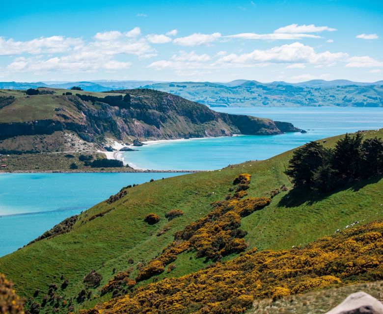 Dunedin New Zealand