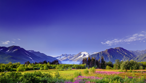 Juneau, Alaska.in spring