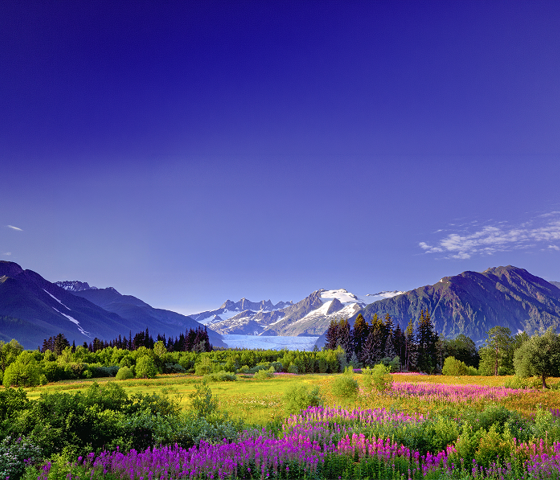 Alaska in Spring © 