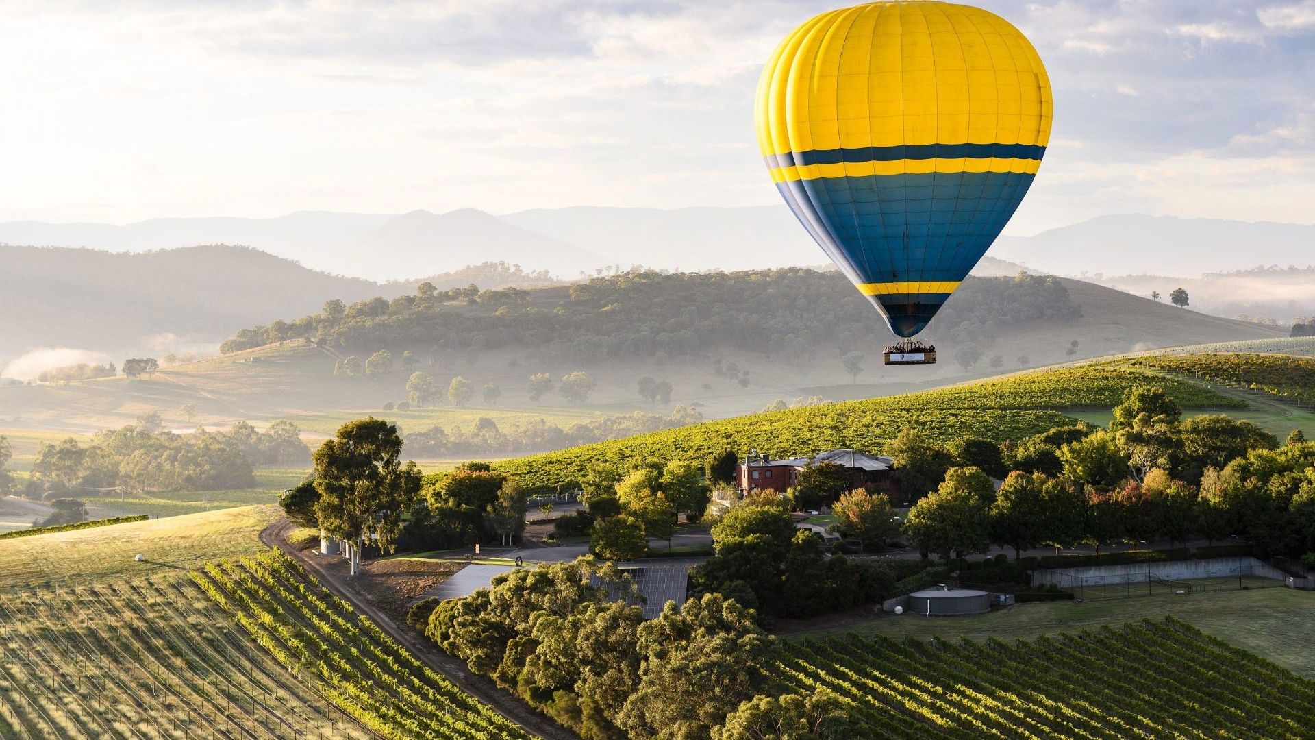 Hot Air Ballooning Over The Yarra Valley 170438 ©Visit Victoria