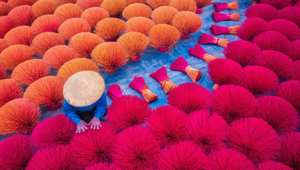 Vietnam Worker Drying Traditional Incense