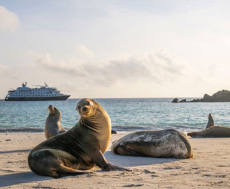 Ecuador Galapagos Islands Espanola Island