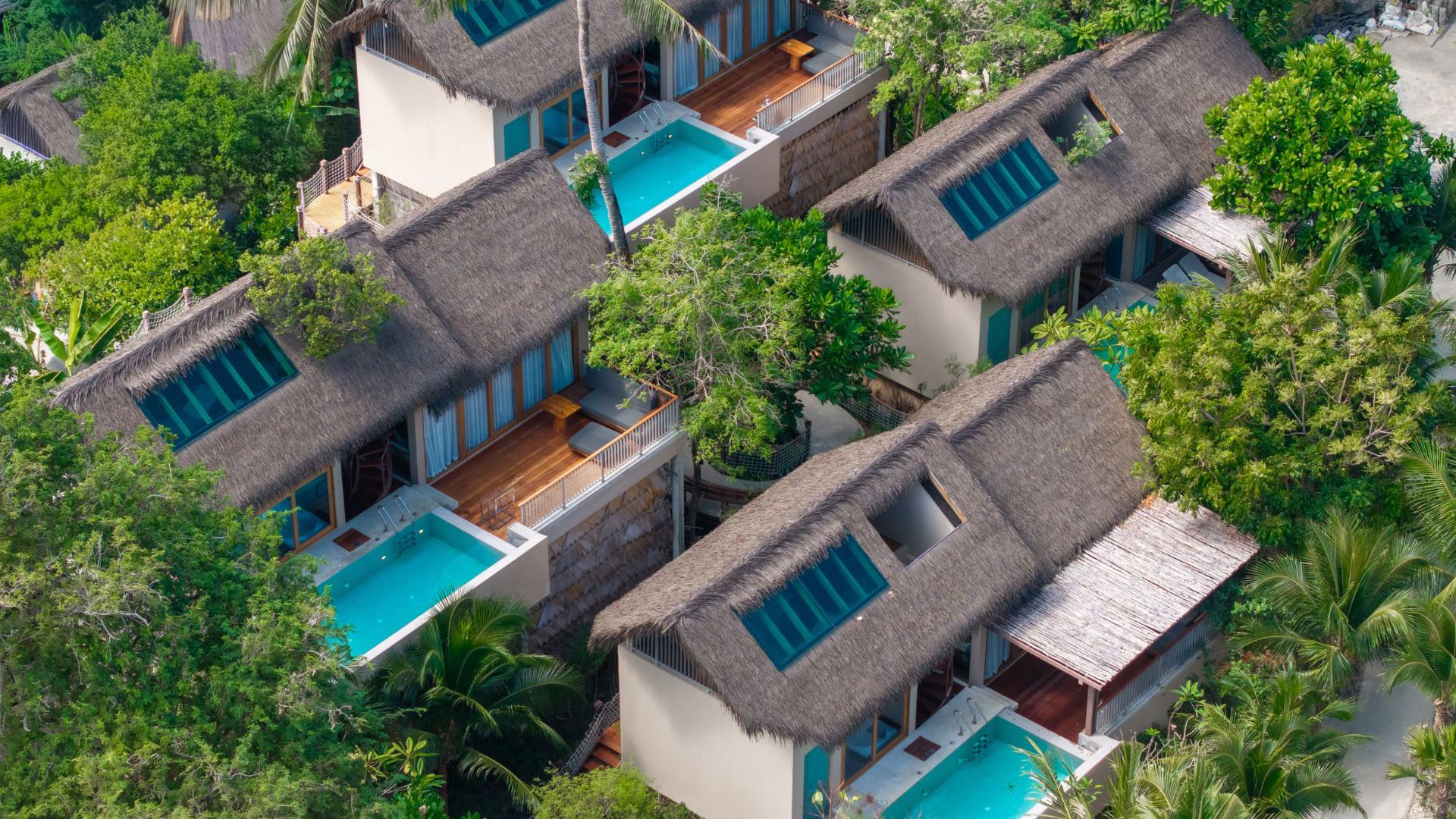 Irene Pool Villa Resort Koh Lipe - Tree Pool Villa